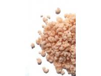 Garnalen Prawns Ruto