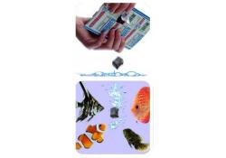 Discusfood excellent2