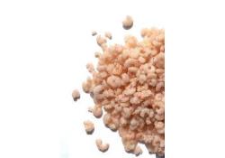 Garnalen Prawns Ruto